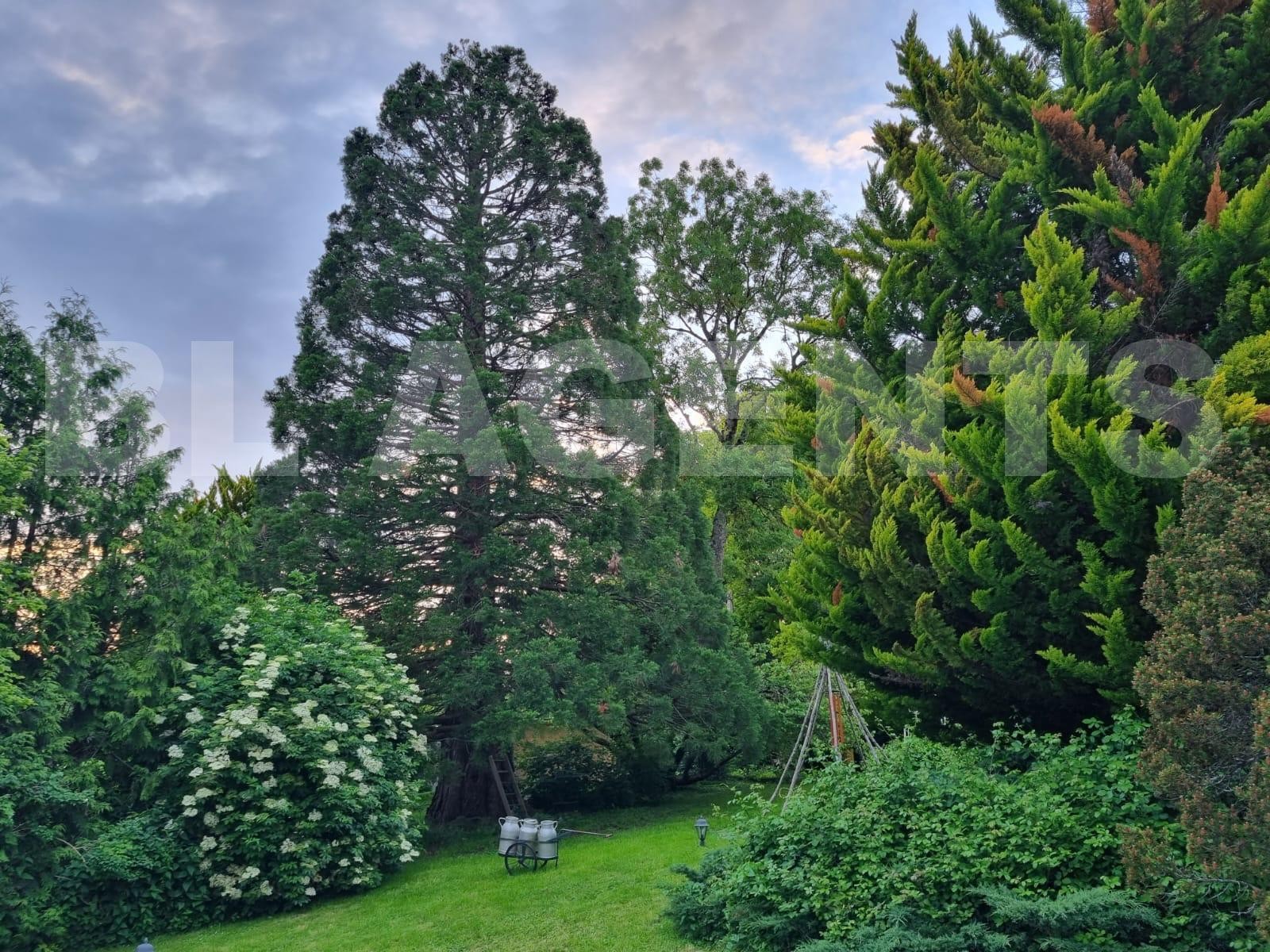 Vente Maison à Serris 30 pièces