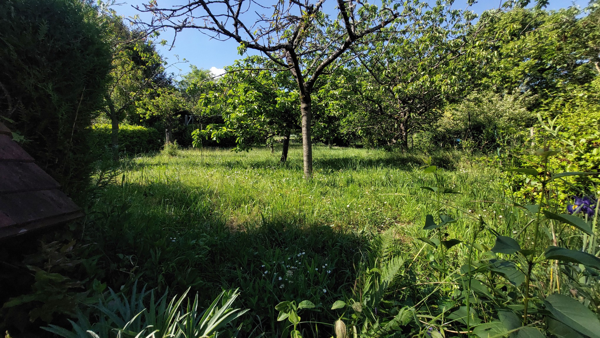 Vente Maison à Pont-sur-Yonne 6 pièces