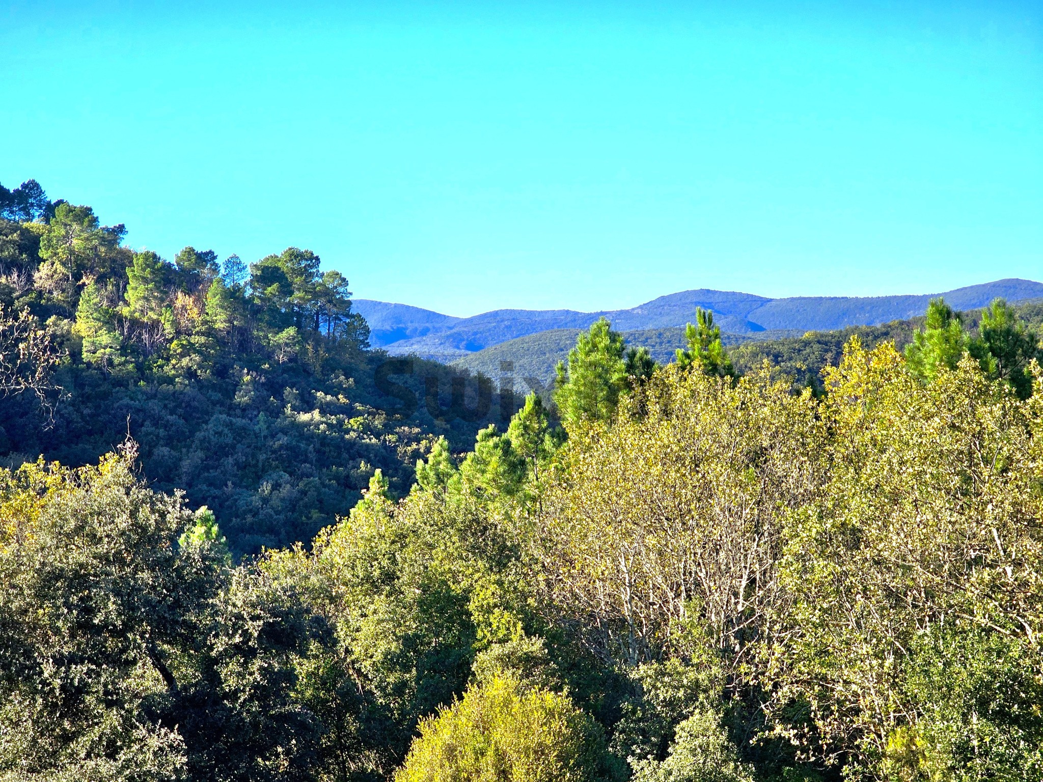 Vente Maison à Alès 10 pièces